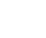 FSG